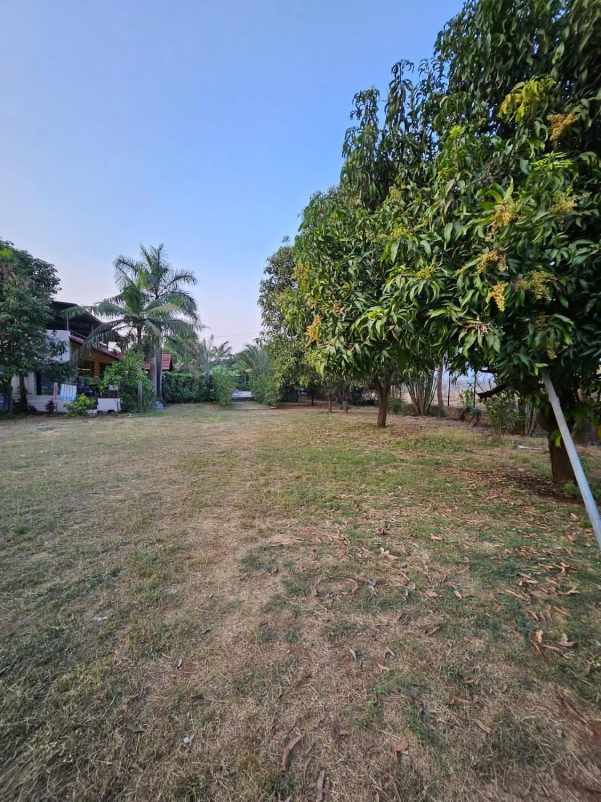 Patil'S Greenwoods Farmhouse Navi Mumbai Bagian luar foto